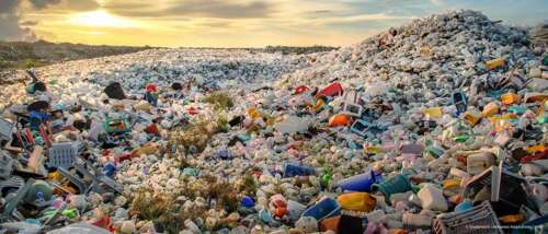 Circular Plastics Linkedin